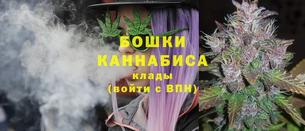 spice Лагань