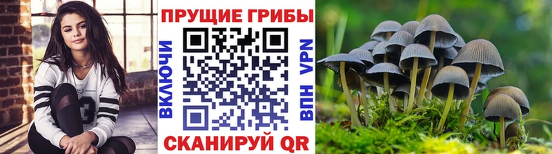 Псилоцибиновые грибы мухоморы  KRAKEN ONION  Болхов 